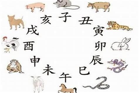 猪和蛇|猪跟蛇相冲吗 属猪与属蛇的有多犯冲